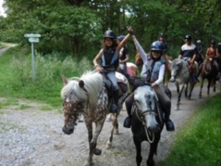  Horseback riding in the 44 
